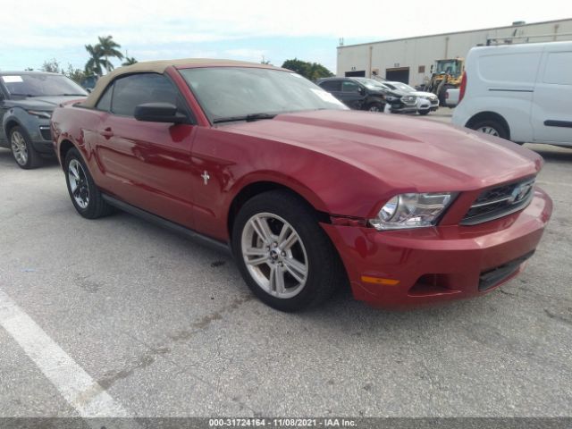 FORD MUSTANG 2010 1zvbp8en6a5146587