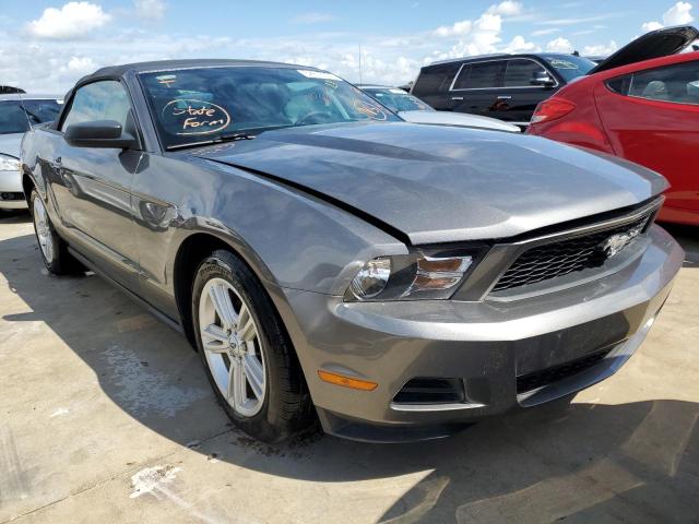 FORD MUSTANG 2010 1zvbp8en6a5163440