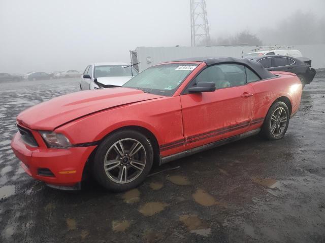 FORD MUSTANG 2010 1zvbp8en6a5173904