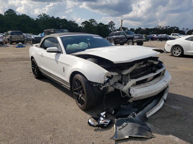 FORD MUSTANG 2010 1zvbp8en7a5135954