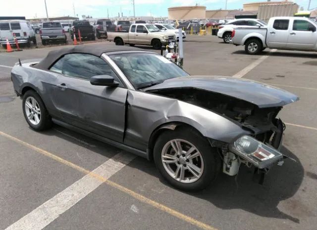 FORD MUSTANG 2010 1zvbp8en7a5165049