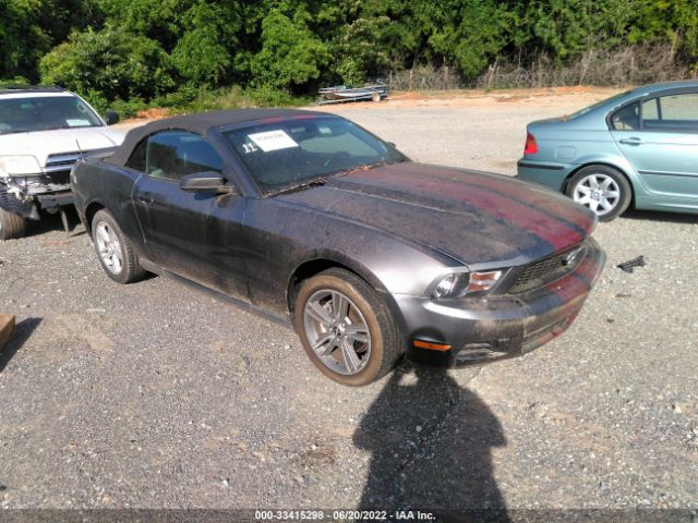 FORD MUSTANG 2010 1zvbp8en7a5175340