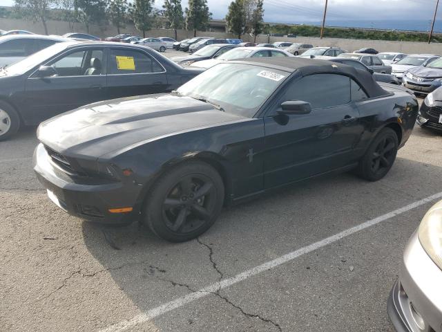 FORD MUSTANG 2010 1zvbp8en7a5176276