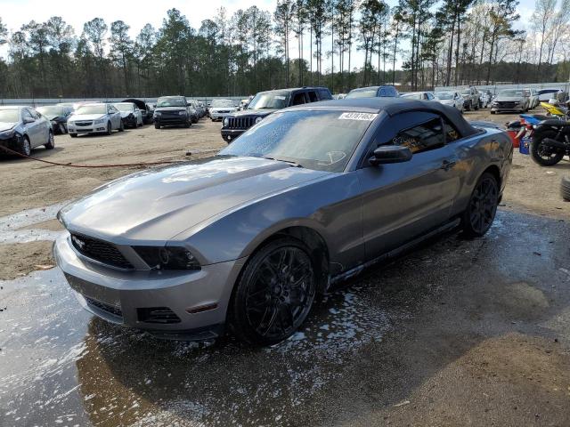 FORD MUSTANG 2010 1zvbp8en7a5177234