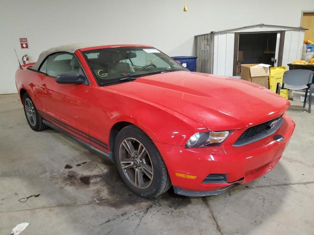 FORD MUSTANG 2010 1zvbp8en8a5107368