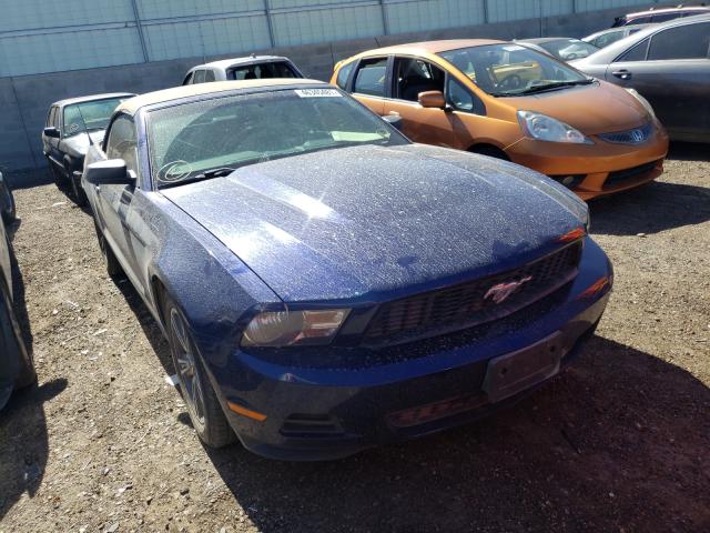 FORD MUSTANG 2010 1zvbp8en8a5111890