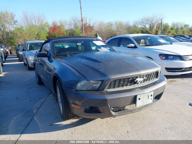 FORD MUSTANG 2010 1zvbp8en8a5114305