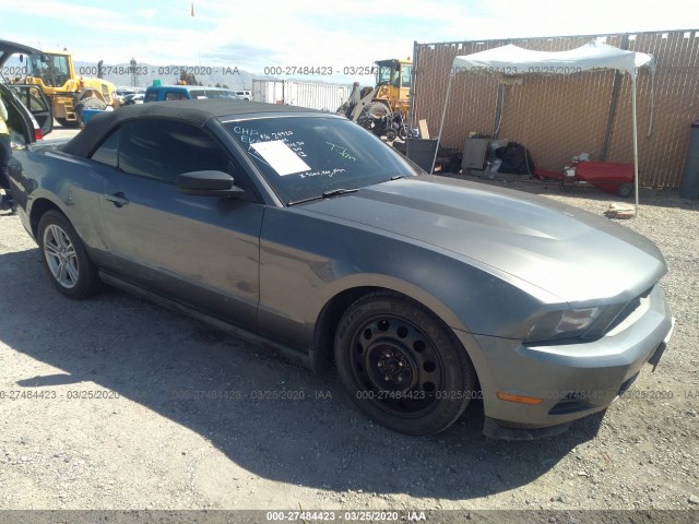 FORD MUSTANG 2010 1zvbp8en8a5114529