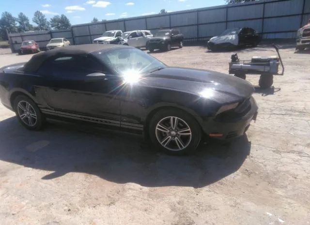 FORD MUSTANG 2010 1zvbp8en8a5124736