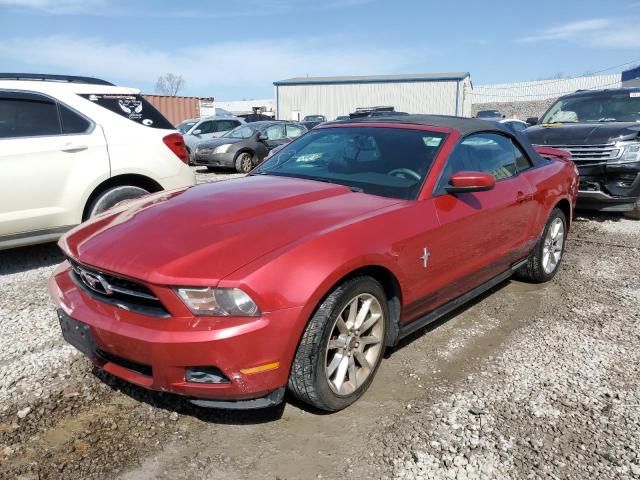 FORD MUSTANG 2010 1zvbp8en8a5141228