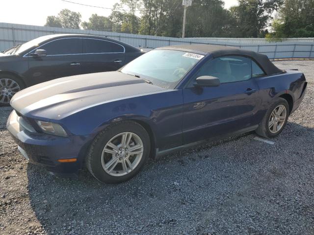 FORD MUSTANG 2010 1zvbp8en8a5146994