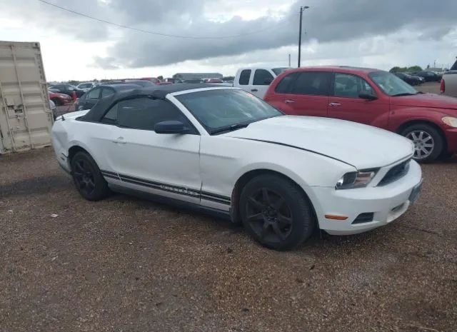 FORD MUSTANG 2010 1zvbp8en8a5151774