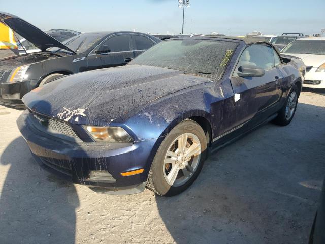 FORD MUSTANG 2010 1zvbp8en8a5159230