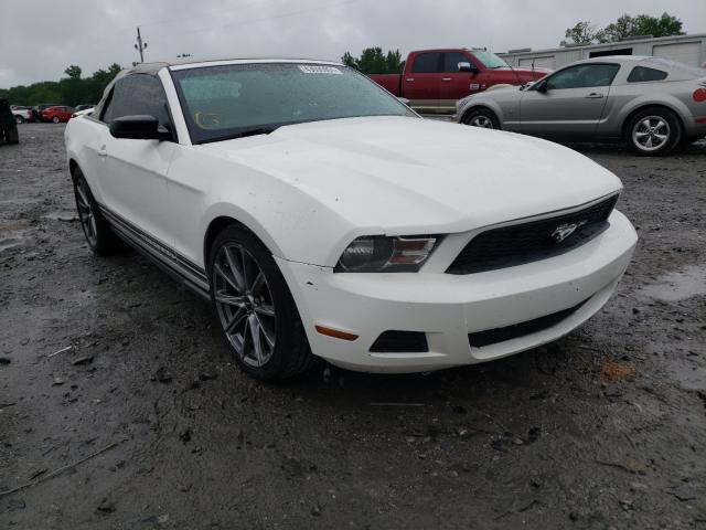 FORD MUSTANG 2010 1zvbp8en8a5167828