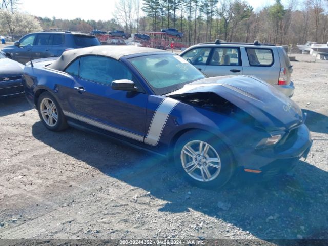 FORD MUSTANG 2010 1zvbp8en8a5177940