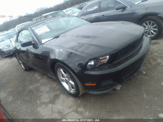 FORD MUSTANG 2010 1zvbp8en8a5179574