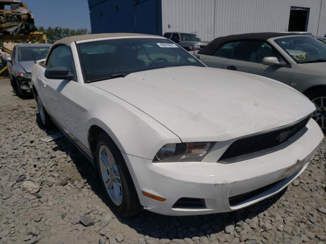 FORD MUSTANG 2010 1zvbp8en8a5180448