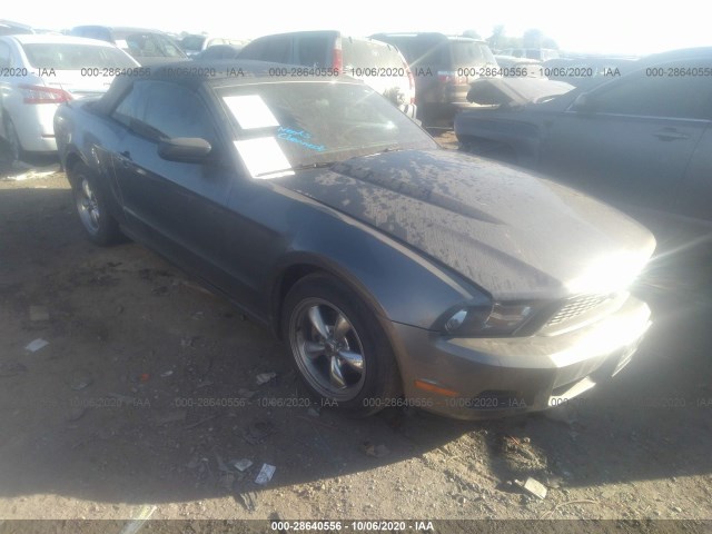 FORD MUSTANG 2010 1zvbp8en9a5122204