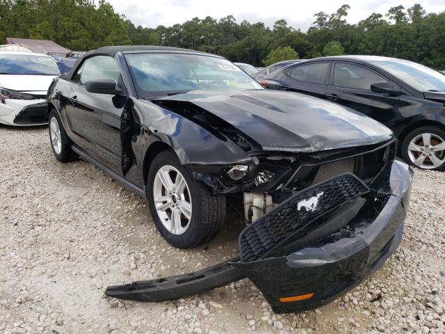 FORD MUSTANG 2010 1zvbp8en9a5122574