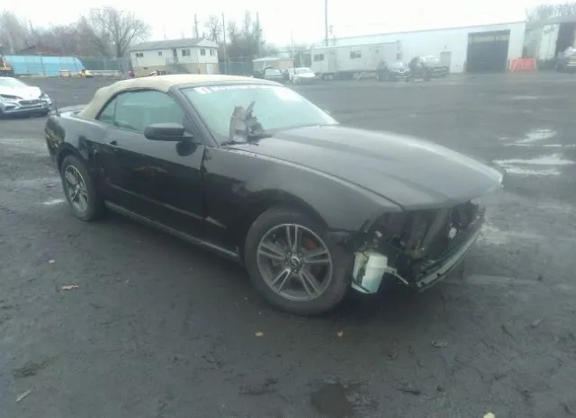 FORD MUSTANG 2010 1zvbp8en9a5124731