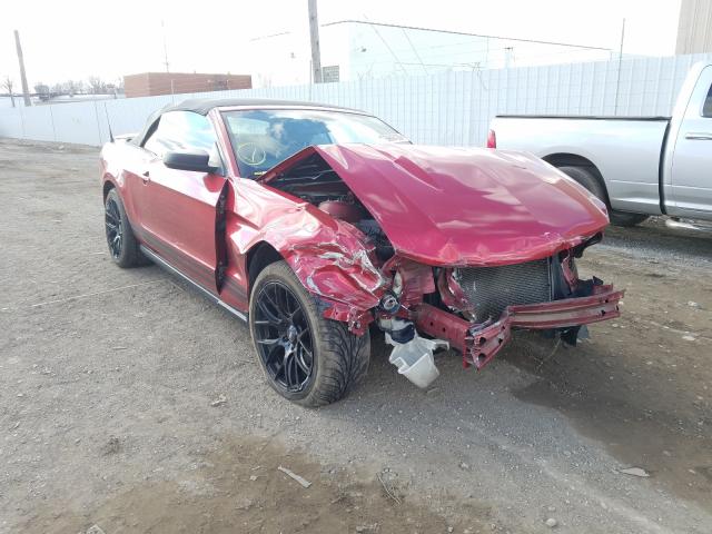 FORD MUSTANG 2010 1zvbp8en9a5171578