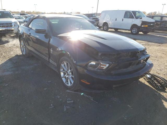 FORD MUSTANG 2010 1zvbp8en9a5175064