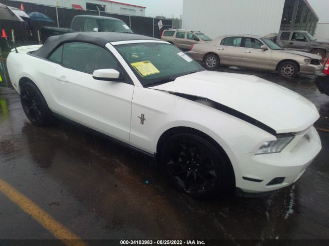 FORD MUSTANG 2010 1zvbp8en9a5175145