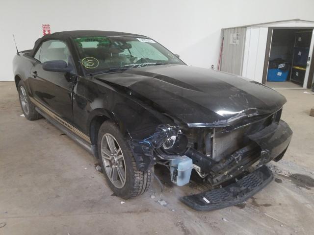 FORD MUSTANG 2010 1zvbp8enxa5116637