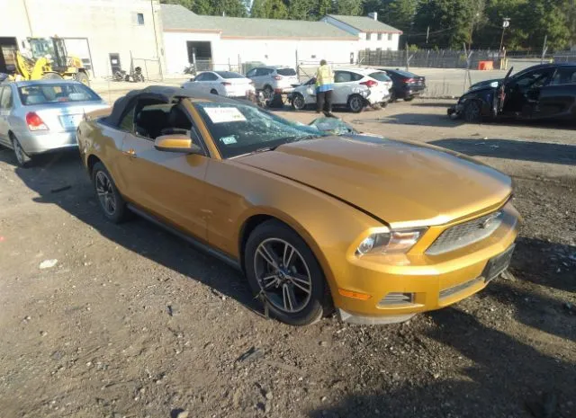 FORD MUSTANG 2010 1zvbp8enxa5146558