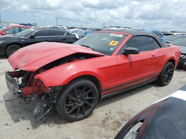 FORD MUSTANG 2010 1zvbp8enxa5157379