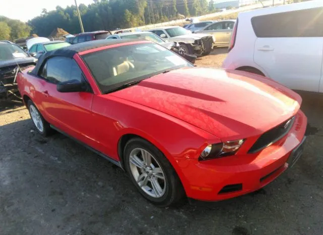 FORD MUSTANG 2010 1zvbp8enxa5163019