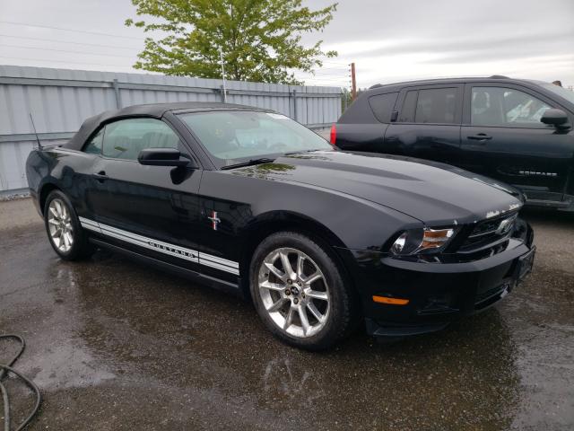 FORD MUSTANG 2010 1zvbp8enxa5174439