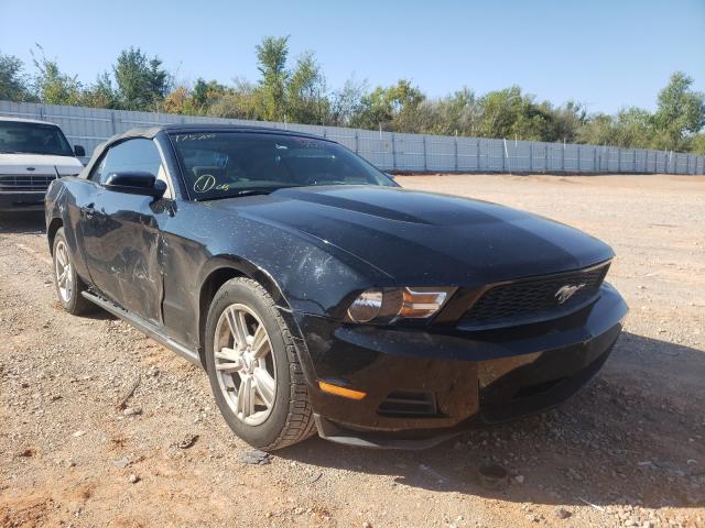 FORD MUSTANG 2010 1zvbp8enxa5175705