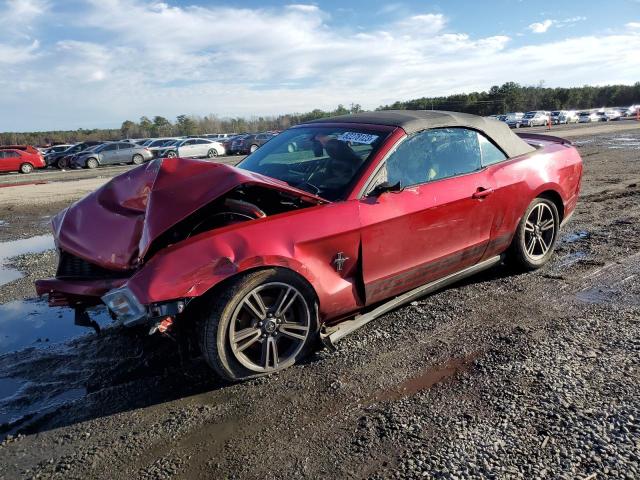 FORD MUSTANG 2010 1zvbp8enxa5178507