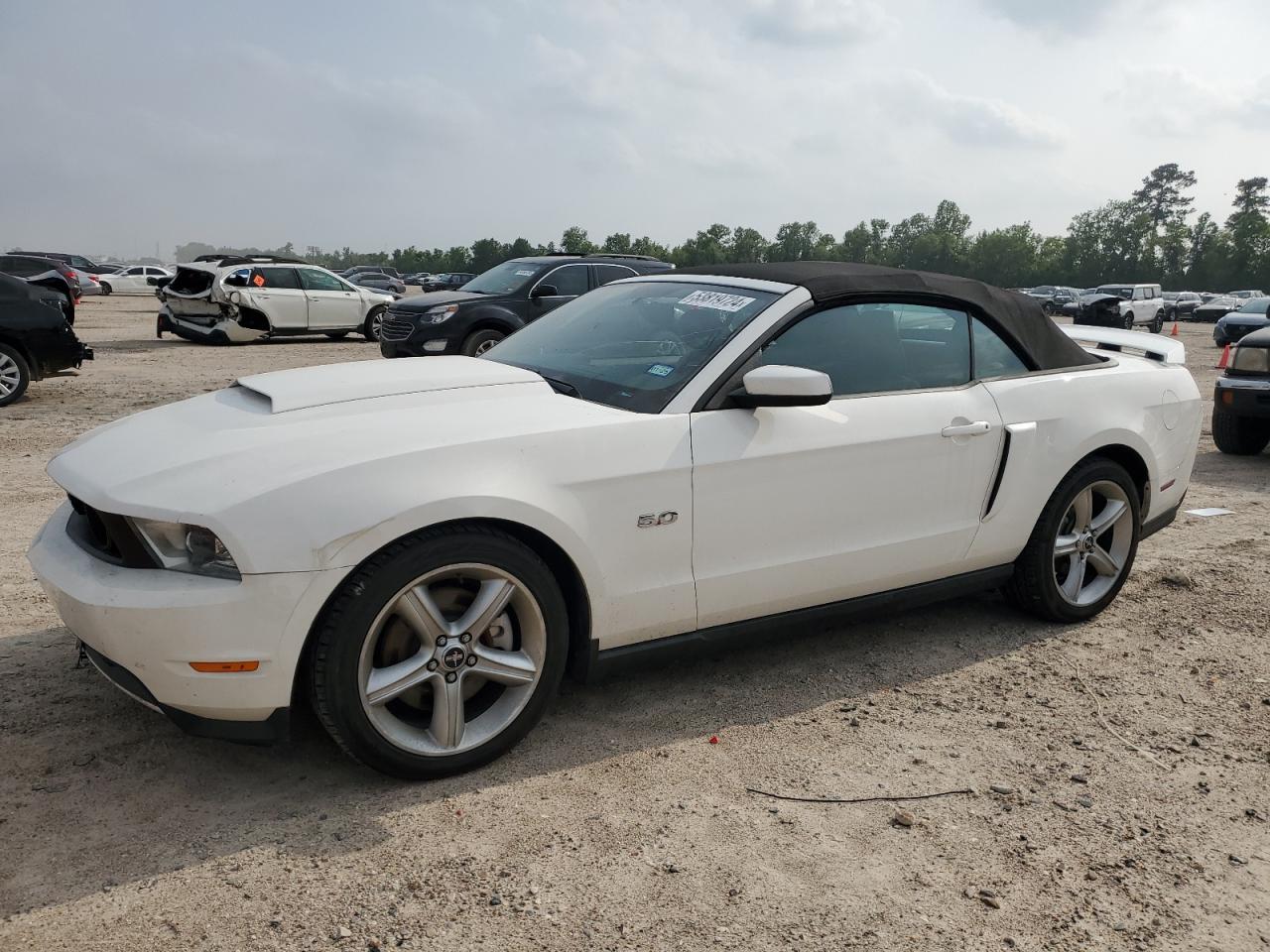 FORD MUSTANG 2012 1zvbp8ff2c5214233