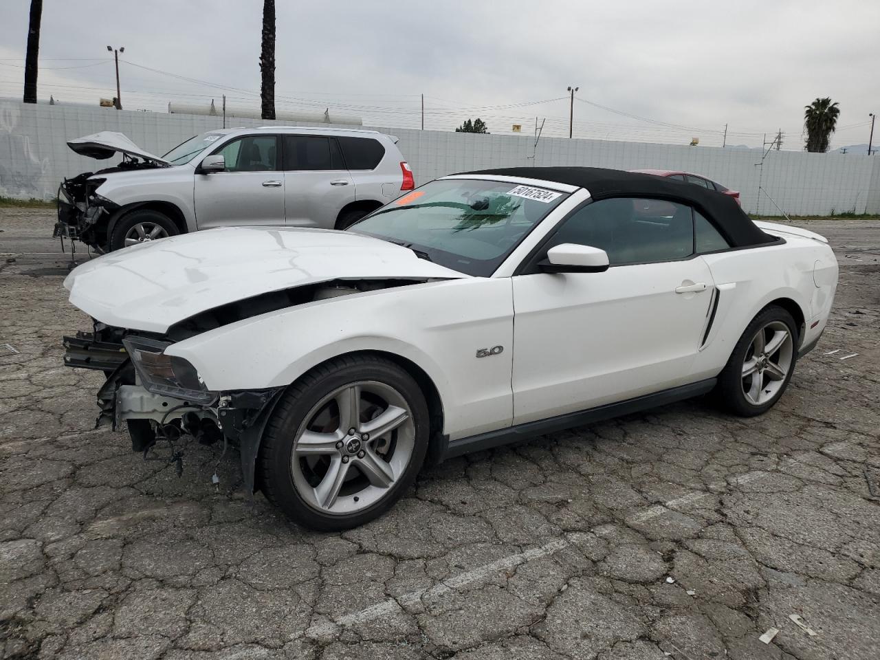 FORD MUSTANG 2011 1zvbp8ff5b5154933