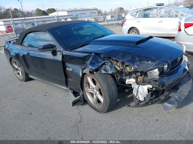 FORD MUSTANG 2011 1zvbp8ff8b5107167