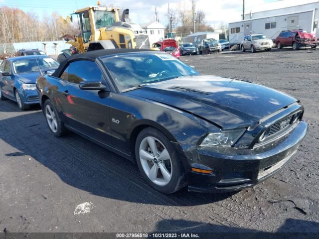 FORD MUSTANG 2013 1zvbp8ff8d5201262