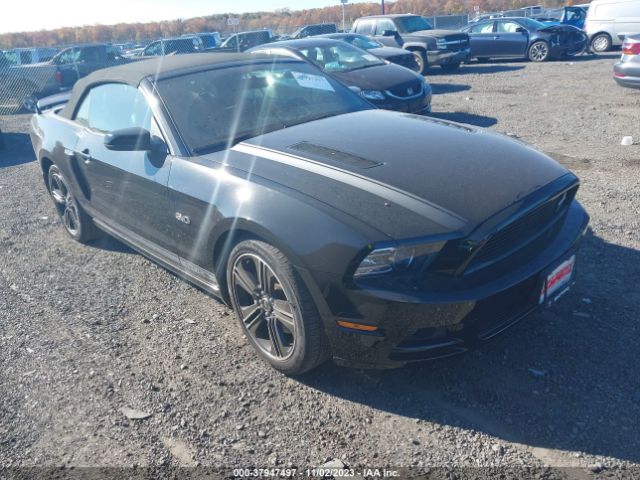 FORD MUSTANG 2014 1zvbp8ff9e5231064