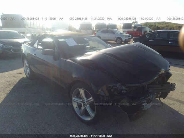 FORD MUSTANG 2010 1zvbp8fh0a5141216