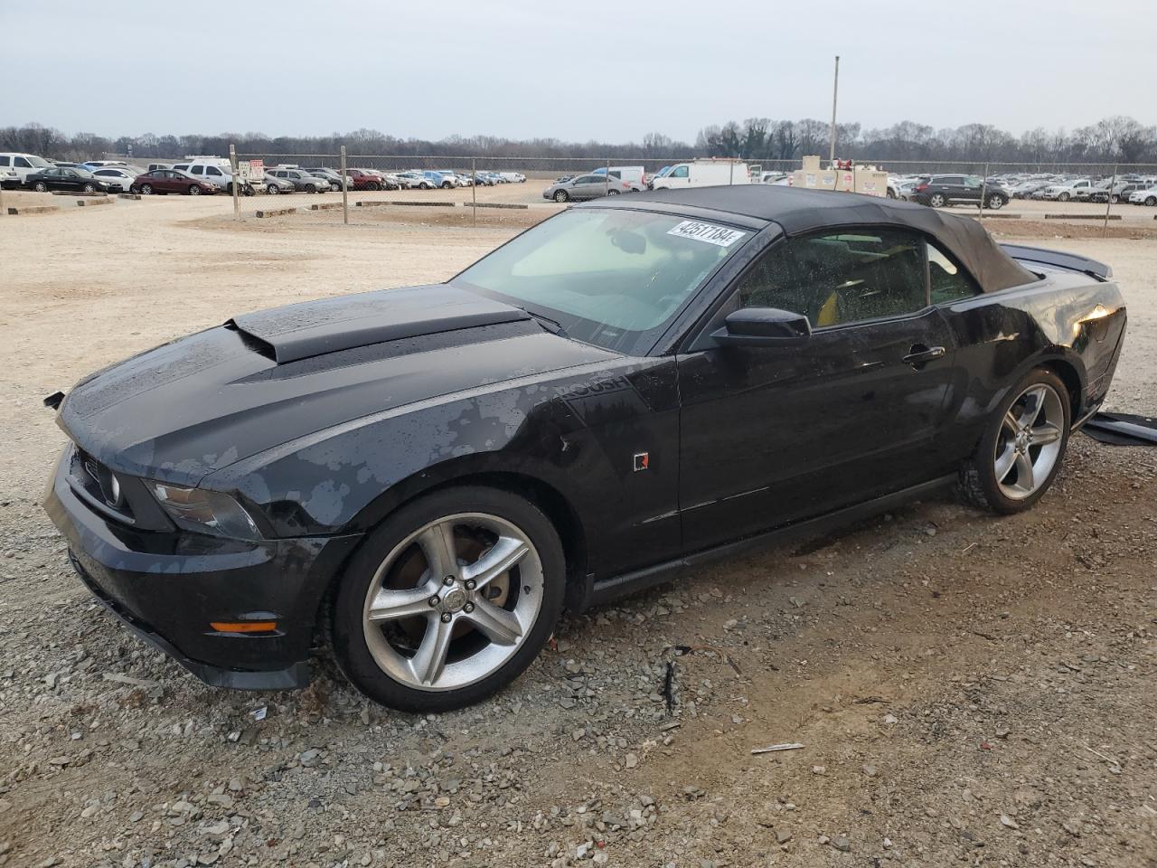 FORD MUSTANG 2010 1zvbp8fh5a5100192