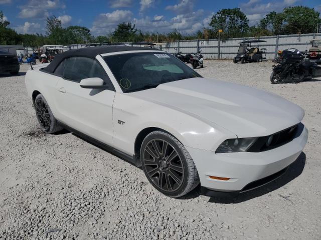 FORD MUSTANG GT 2010 1zvbp8fh8a5124065