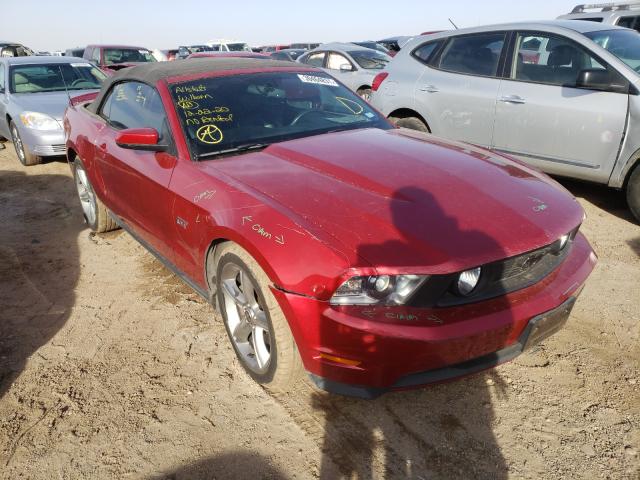 FORD MUSTANG GT 2010 1zvbp8fh9a5141330