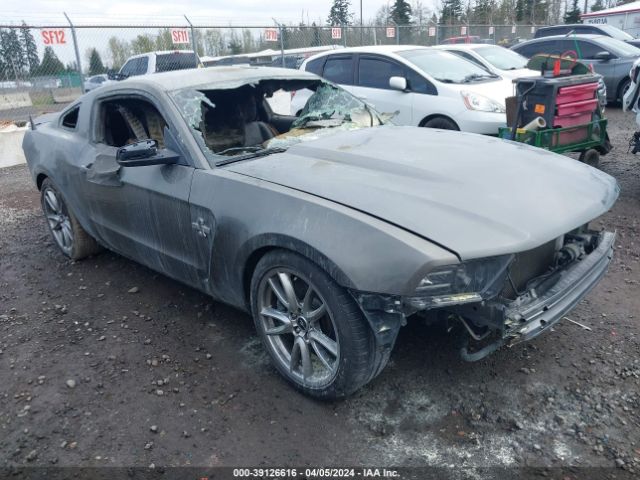 FORD SHELBY GT500 2011 1zvbp8js4b5156466