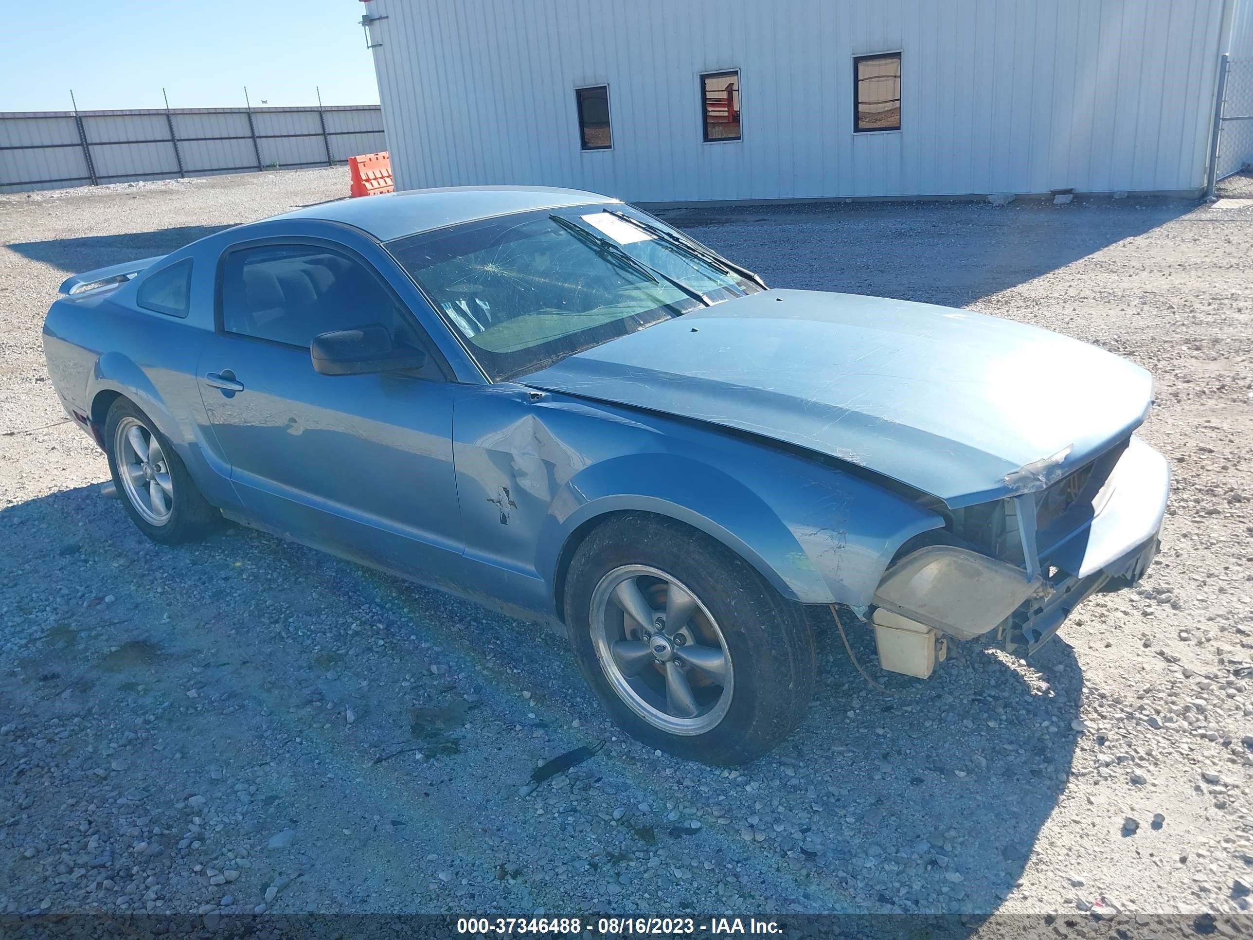 FORD MUSTANG 2005 1zvft80n055121419