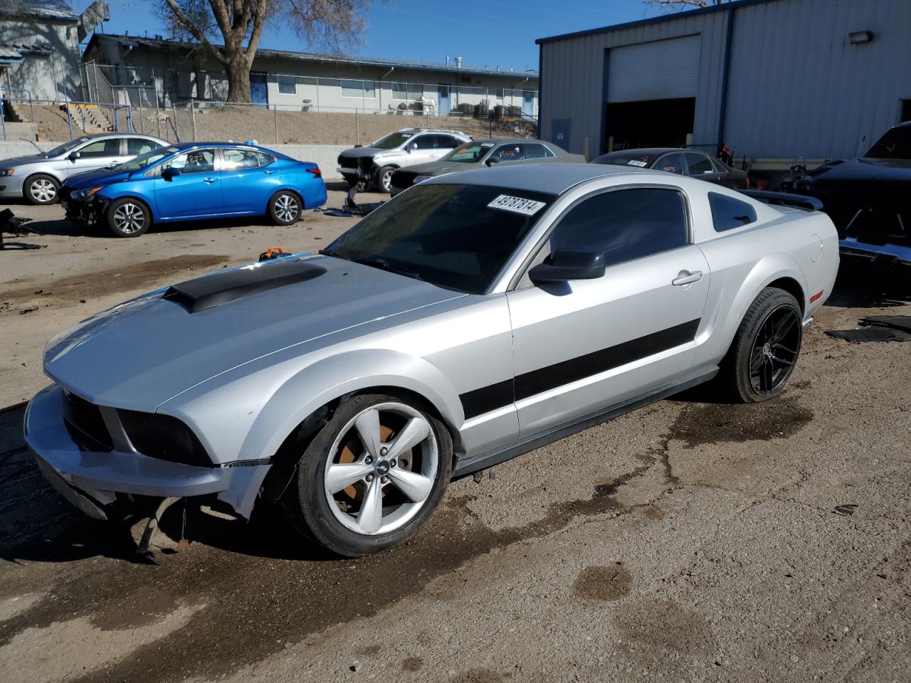 FORD MUSTANG 2005 1zvft80n055132761