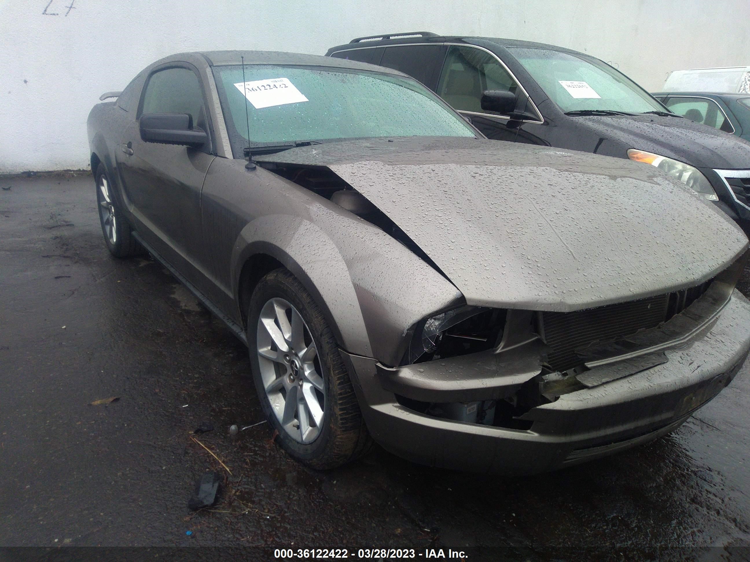 FORD MUSTANG 2005 1zvft80n055161676