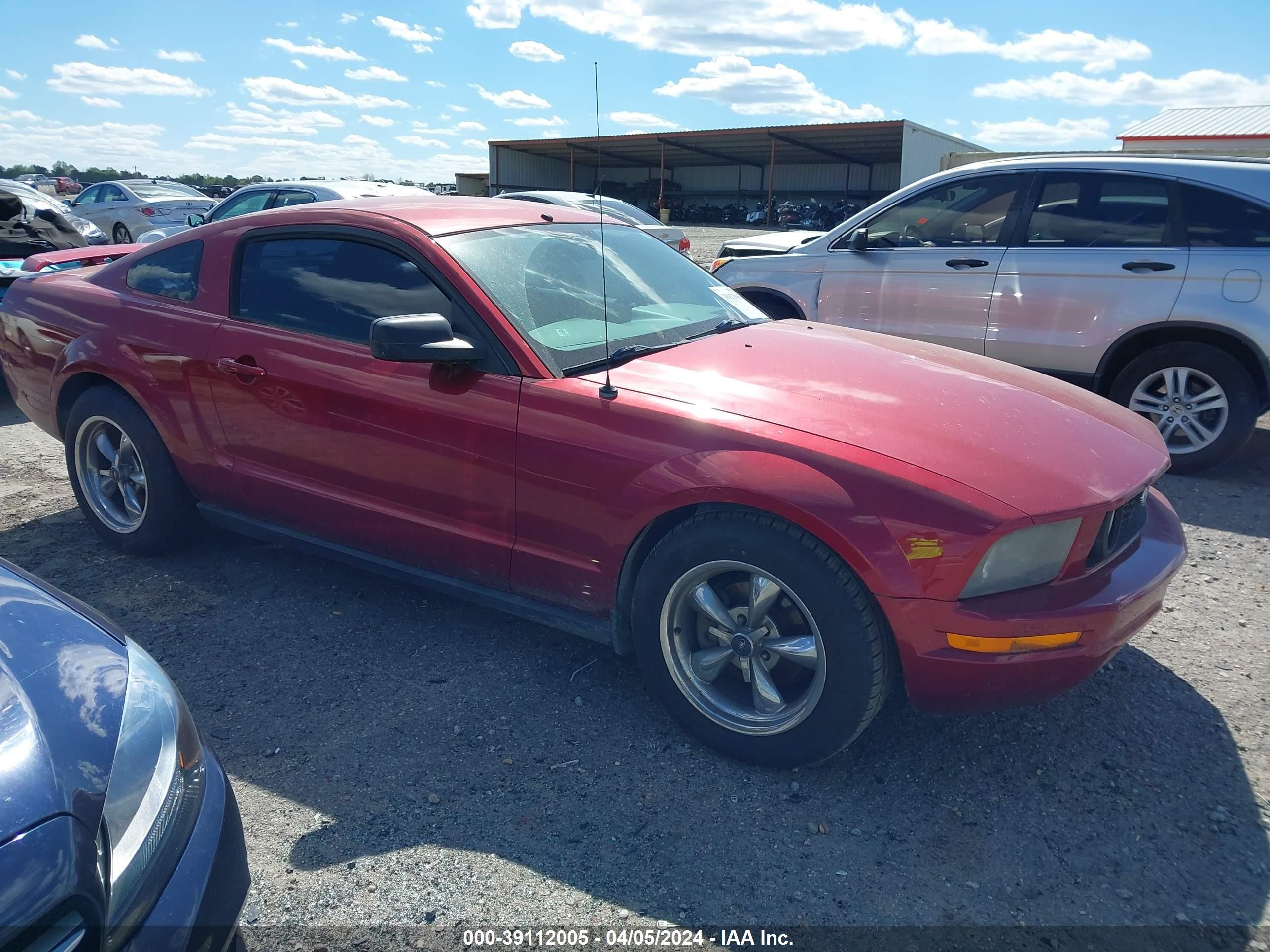 FORD MUSTANG 2005 1zvft80n055206907