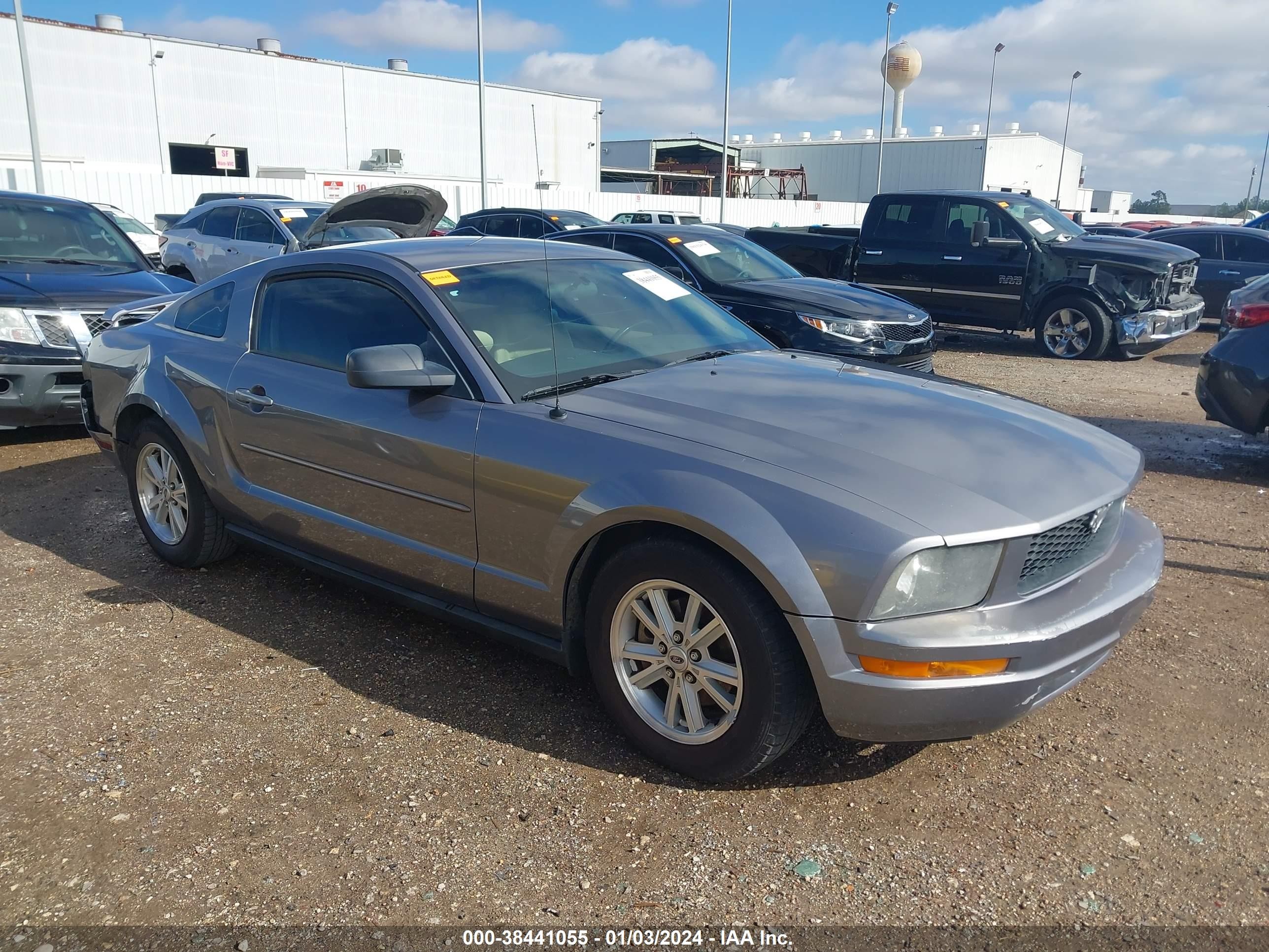 FORD MUSTANG 2006 1zvft80n065126296