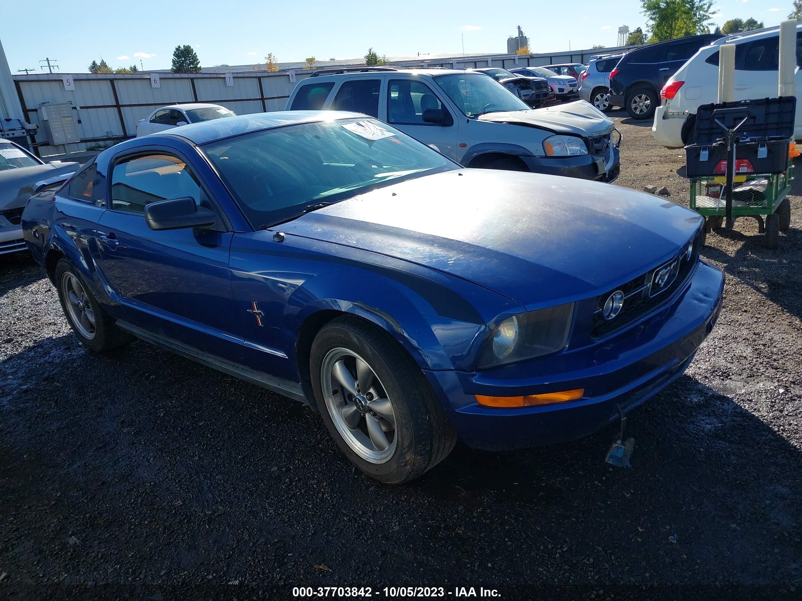 FORD MUSTANG 2006 1zvft80n065131305